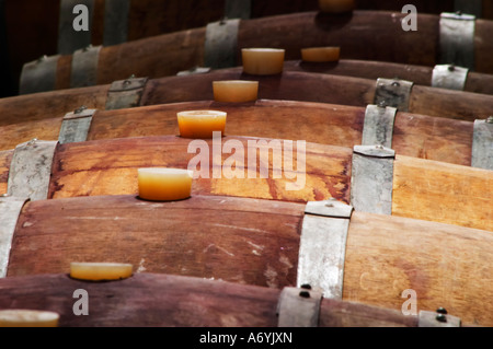 Domaine Cazeneuve à Lauret. Pic St Loup. Languedoc. Chais à barriques. La France. L'Europe. Banque D'Images