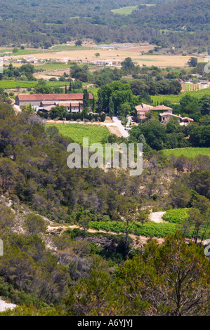 Domaine Cazeneuve à Lauret. Pic St Loup. Languedoc. La végétation du sous-bois de garrigue avec des buissons et des herbes. La cave du bâtiment. La France. L'Europe. Vignoble. Banque D'Images