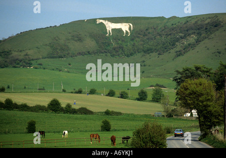 Le Westbury ou Cheval Blanc Bratton Wiltshire Angleterre Grande-Bretagne Banque D'Images