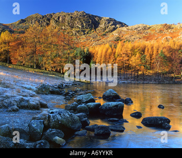 Les rochers couverts de givre sur les rives du Tarn Blea diriger l'oeil vers les monts au-delà baigné dans la lumière du soleil tôt le matin Banque D'Images