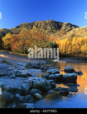 Les rochers couverts de givre sur les rives du Tarn Blea diriger l'oeil vers les monts au-delà baigné dans sunlig l'hiver tôt le matin Banque D'Images