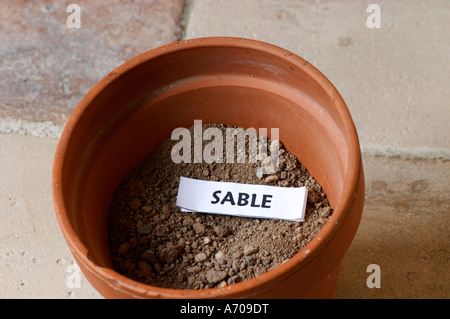 Plante en pot échantillon de sol pour illustrer les différents types de sol, partie d'une série : sable, sable. Château Villerambert-Julien près de Caunes-Minervois. Minervois. Languedoc. Terroir le sol. La France. L'Europe. Du sable. Banque D'Images