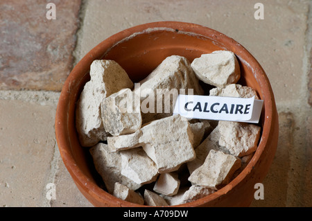 Plante en pot échantillon de sol pour illustrer les différents types de sol, partie d'une série : carbonate de calcium calcaire roche, calcaire. Château Villerambert-Julien près de Caunes-Minervois. Minervois. Languedoc. Terroir le sol. La France. L'Europe. Calcaire calcaire. Banque D'Images