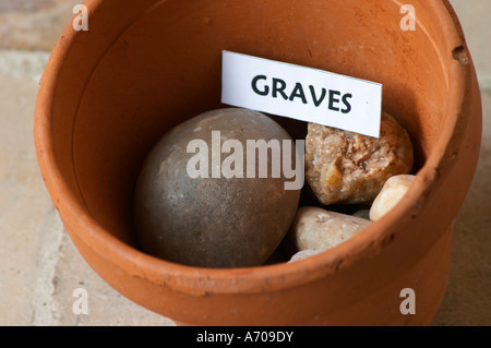 Plante en pot échantillon de sol pour illustrer les différents types de sol, partie d'une série : rock Pierre Galet, graves Château Villerambert-Julien près de Caunes-Minervois. Minervois. Languedoc. Terroir le sol. La France. L'Europe. Les roches du sol avec des pierres. Banque D'Images