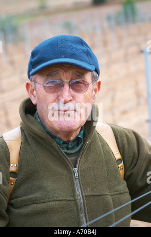 M. Astruc tendant à sa vigne. Mont Tauch Cave coopérative co-operative à Tuchan. Fitou. Languedoc. La taille de l'homme de la vigne. La France. L'Europe. Vignoble. Banque D'Images