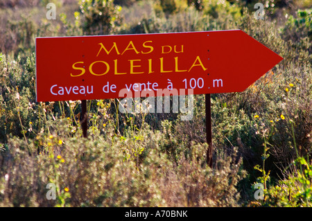 La Clape. Languedoc. Domaine Mas du Soleilla. La végétation du sous-bois de garrigue avec des buissons et des herbes. La France. L'Europe. Banque D'Images