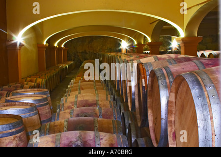 Domaine Gérard Bertrand, Chateau l'Hospitalet. La Clape. Languedoc. Chais à barriques. La France. L'Europe. Banque D'Images