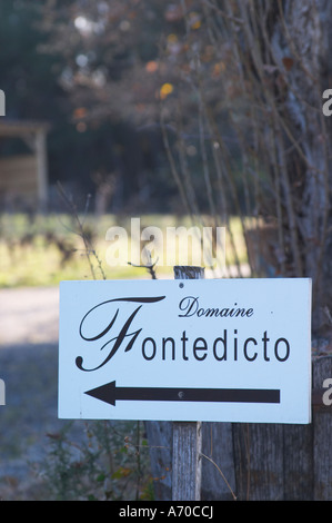 Domaine Fontedicto, Caux. Région Pézenas. Languedoc. La France. L'Europe. Banque D'Images