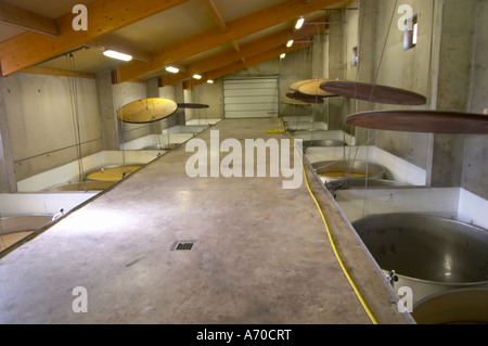 Domaine de Canet-Valette Cessenon-sur-Orb St Chinian. Languedoc. Fermentation en acier inoxydable et des réservoirs de stockage. Haut flottant cuves. La France. L'Europe. Banque D'Images