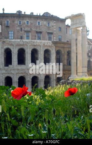 Teatro Marcello et Apollon Sosien Temple Rome Italie Banque D'Images