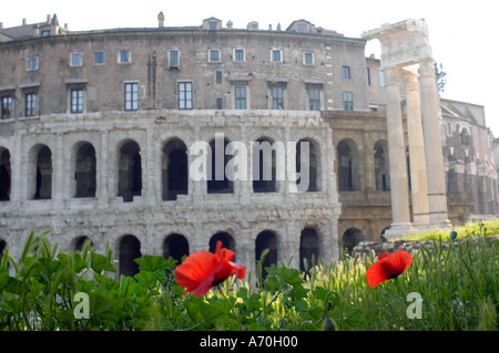 Teatro Marcello et Apollon Sosien Temple Rome Italie Banque D'Images