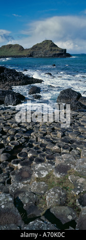 Le Giant's Causeway Côte d'ANTRIM IRLANDE DU NORD UK Banque D'Images