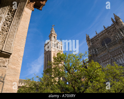 Province de Séville Séville Espagne La tour Giralda et de la cathédrale vue du Patio de los Naranjos Banque D'Images