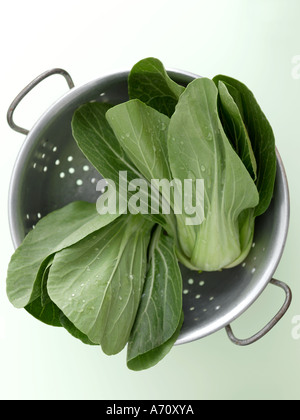 Pak choi passoire en acier à fond vert pâle sur le haut de gamme- 61Mo d'image numérique Hasselblad Banque D'Images