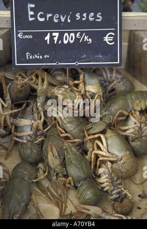 Europe, France, Aix en Provence. Les homards locaux, marché plein air Banque D'Images