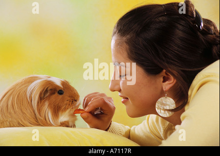 Woman feeding / Cavia spezies Banque D'Images