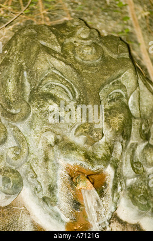 Sculpture de fontaine d'eau satyre avec de l'eau courante à Poznan Palmiarnia Greenhouse, Pologne. Jardin en pierre altérée. Banque D'Images