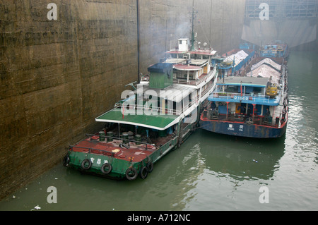 Cargoships Jangzi sur le fleuve dans la serrures Gezhouba près de Yichang, Chine Banque D'Images