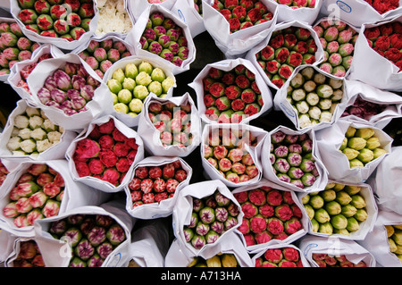 Des fleurs sur le marché aux fleurs de Hong Kong, Chine Banque D'Images