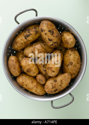 Les pommes de terre dans une passoire sur fond vert pâle - haut de gamme image numérique Hasselblad 61Mo Banque D'Images