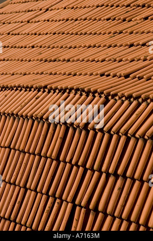 Vue rapprochée des toits traditionnels en tuiles rouges à Gouda, en Hollande, mettant en valeur le motif en terre cuite et la texture architecturale qui se chevauchent. Banque D'Images