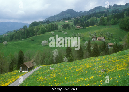 AJ1683, Europe, Suisse, CH, Schwyz Banque D'Images