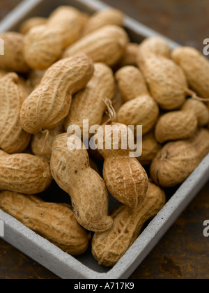 Ensemble des arachides en coque - haut de gamme image numérique Hasselblad 61Mo Banque D'Images