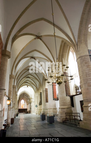 Vue intérieure des arches gothiques et du plafond voûté de la Grande église de St Bavo, Haarlem, Hollande du Nord, avec un grand lustre en laiton. Banque D'Images
