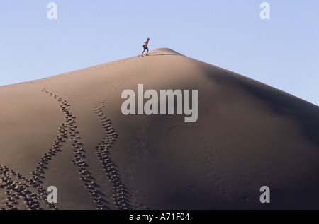 Homme solitaire grimper au sommet d'une immense dune de sable il y a de nombreux produits frais et vieilles empreintes de personnes et d'animaux sur la dune Banque D'Images