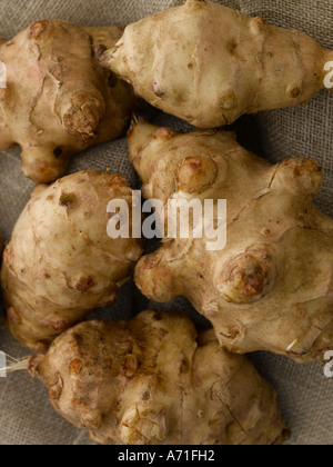 Topinambours - haut de gamme image numérique Hasselblad 61Mo Banque D'Images