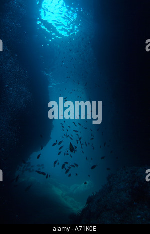 La grotte sous-marine de couple sitting in Beach Chairs dans la mer de Cortez Banque D'Images