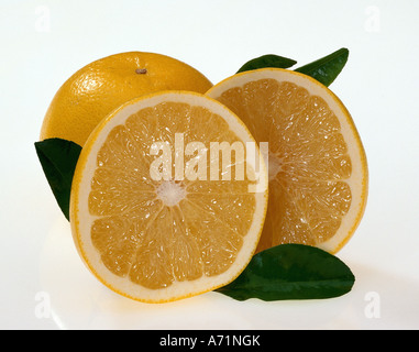 La botanique, pamplemousse, (Citrus paradisi), pamplemousses, studio shot, moitié, moitié, chair du fruit, fruits, citron, Sapindales, Rutacées Banque D'Images