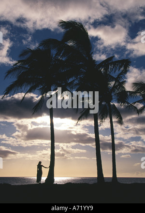 Femme debout à côté de palmier dans Oahu Hawaii sunset light Banque D'Images