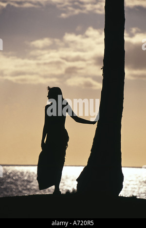 Femme debout à côté de palmier dans Oahu Hawaii sunset light Banque D'Images