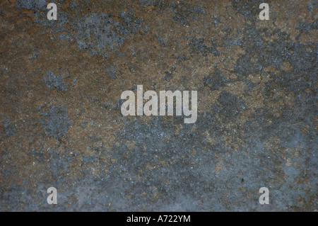 La texture et la structure en pierre calcaire Banque D'Images