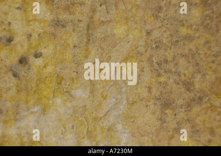 La texture et la structure en pierre calcaire Banque D'Images