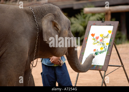 L'artiste d'éléphant d'Asie peint des fleurs dans le Maesa Elephant Camp. Chiang mai, Thaïlande. Banque D'Images