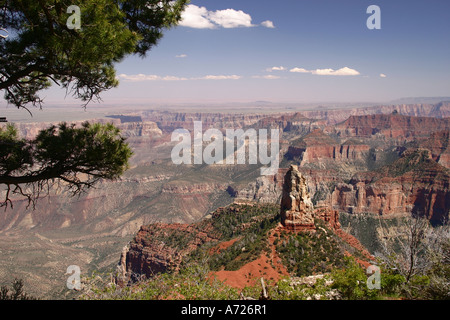Vue du Grand Canyon north rim du Point Imperial. Banque D'Images
