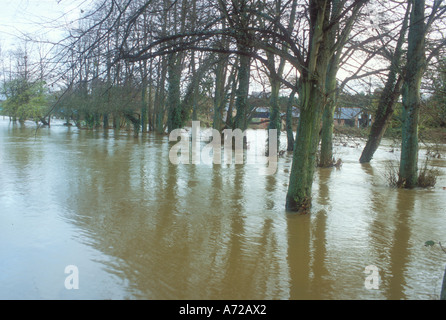 L'eau d'inondation où la rivière Stour dans le Dorset a éclaté ses banques Banque D'Images
