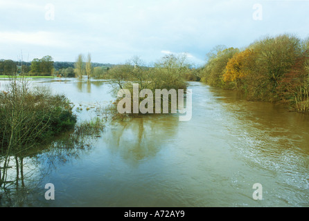 L'eau d'inondation où la rivière Stour dans le Dorset a éclaté ses banques Banque D'Images