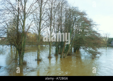 L'eau d'inondation où la rivière Stour dans le Dorset a éclaté ses banques Banque D'Images