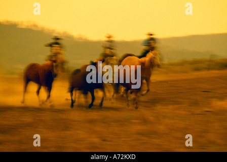 Cow-boys dans l'élevage de chevaux de course Ranch Ponderosa soft focus Banque D'Images