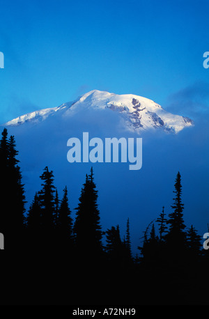 Brouillard sur Mowich silhouettes forêt Face Mount Rainier National Park Banque D'Images