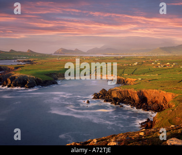 IE - comté de Kerry : Ballyferriter Bay sur la péninsule de Dingle vu de tête Clougher Banque D'Images