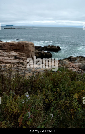 Rivage près de Thunder Hole Nat Acadia Park MOI Banque D'Images