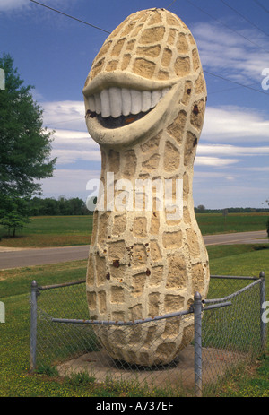 AJ3981, Géorgie, GA, des plaines Banque D'Images