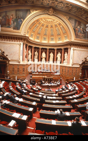 PARIS France, monuments nationaux, intérieur du bâtiment du Sénat, 'Palais du Luxembourg' 'Palais du Luxembourg' sénat français, intérieur du bâtiment Banque D'Images