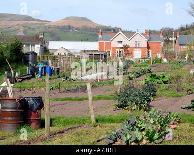 Vue sur jardins allotissement à Crickhowell Powys Pays de Galles UK en regardant vers la montagne de la table et maisons Banque D'Images