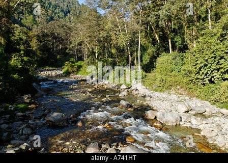 River dans le Parc National de Phon Kan Razi le nord du Myanmar Kachin Banque D'Images