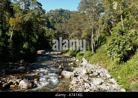 River dans le Parc National de Phon Kan Razi le nord du Myanmar Kachin Banque D'Images